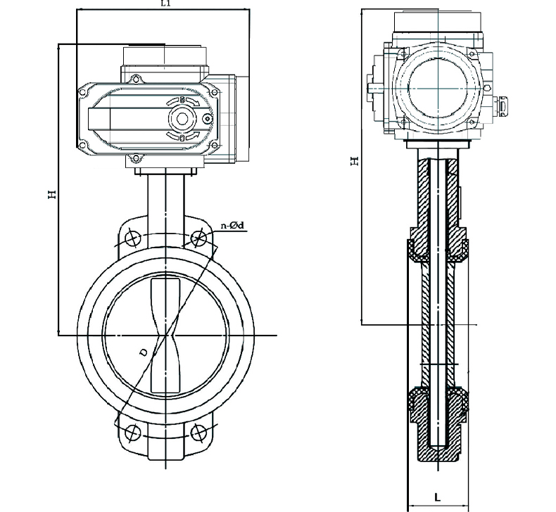 D971X-16Q电动对夹蝶阀结构图.jpg