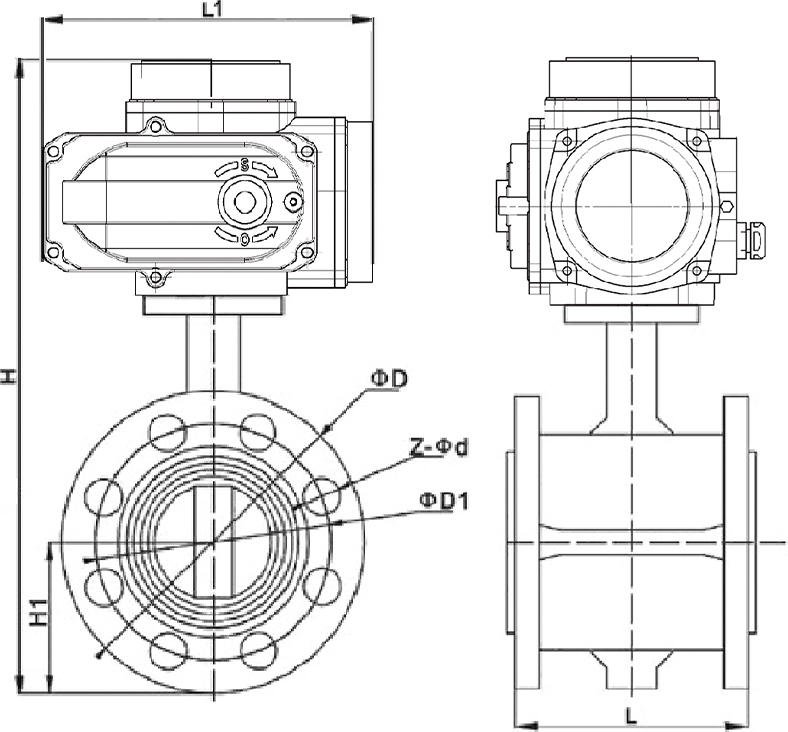 D941X-16Q电动对夹蝶阀结构图.jpg